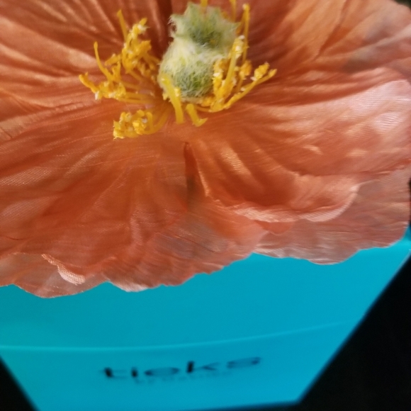 Peach Poppy Tieks - Picture 4 of 6